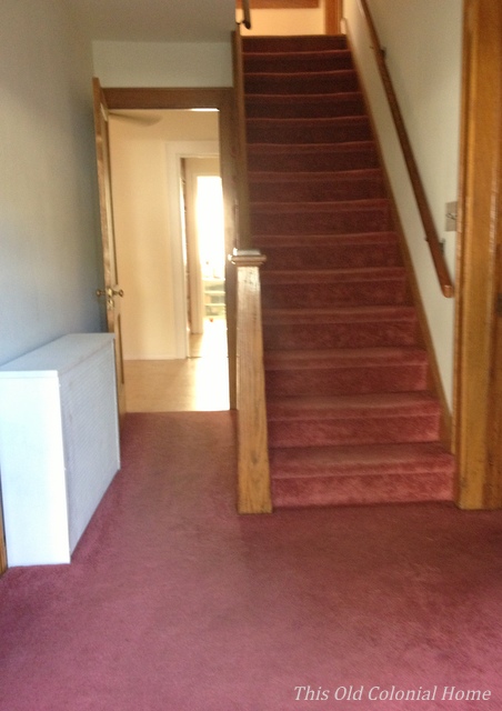 Center hall colonial stairs with carpet before 
