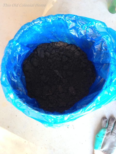 Potting soil in liner bag for bucket