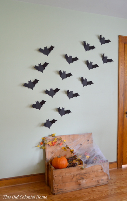 Bats flying out of crate 