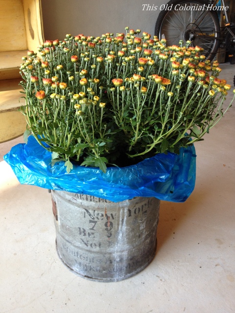 Cut away remaining visible bag 