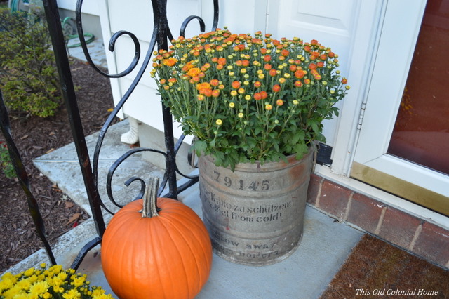 Metal planter and pumpkin
