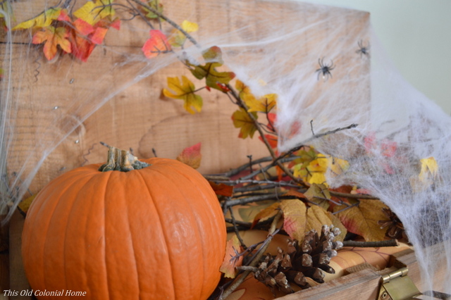 Pumpkin and spiderwebs