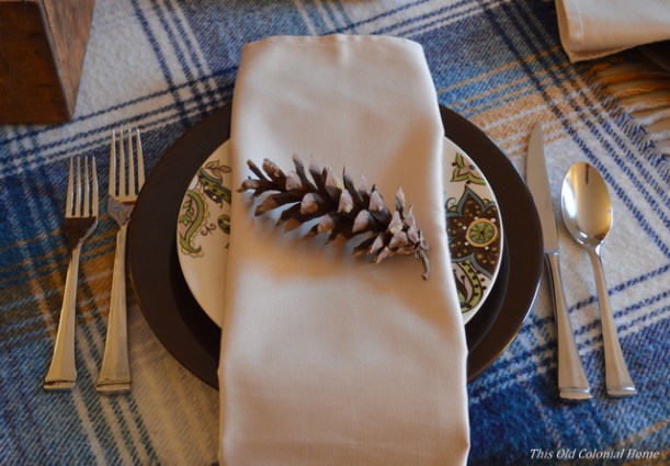 Thanksgiving place setting with napkin and pine cone