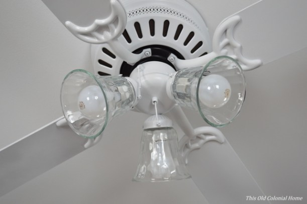 Fan with new glass light shades
