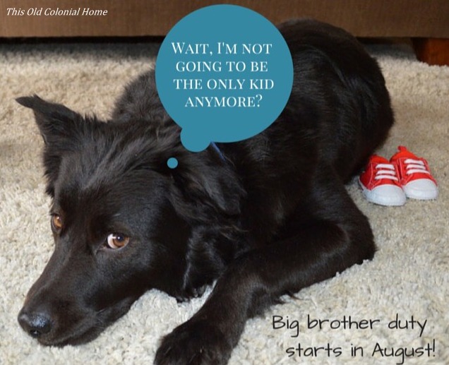 Luca no longer going to be an only child