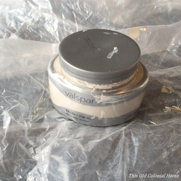 Sample paint from Lowes